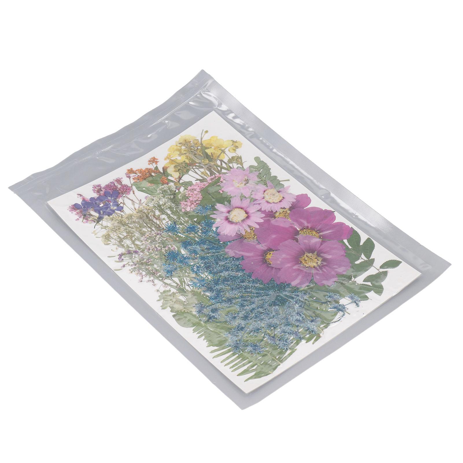 

Набор материалов из 110 штук сушеных цветов и листьев, прессованных цветов для DIY поделок, скрапбукинга, нейл-арта