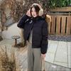 Winter new hooded cotton-padded clothes, cotton-padded clothes are thin and simple, big fur collar short coat women