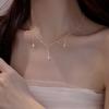 Exquisite Gold Tassel Zircon Water Drop Pendant Necklace In 925 Sterling Silver