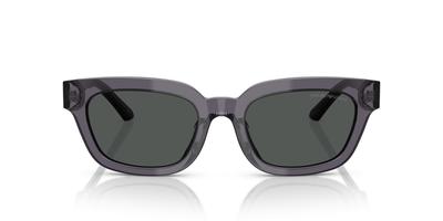 Sonnenbrille 0EA4233U TRANSPARENT GRAU 53 [Emporio Armani]