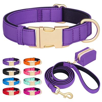 Perros – Collares y correas