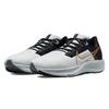 Nike Air Zoom Pegasus 38 Photon Dust Metallic Gold Coin Men Sneakers Grey Light-Smoke-Grey Particle-Grey CW7356-007