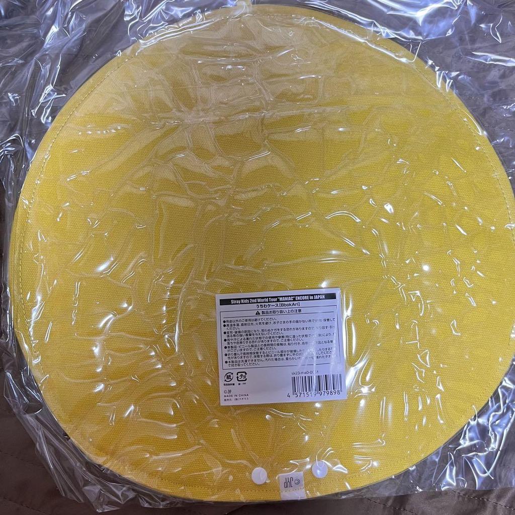 [USED] SKZOO Felix Fan Case