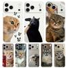 Phone Case For iPhone 17 Air 16E 16 11 15 14 Pro MAX 12 13 7 8 Plus SE Easter Cover Protection Funny Cartoon Korean Cat Couple