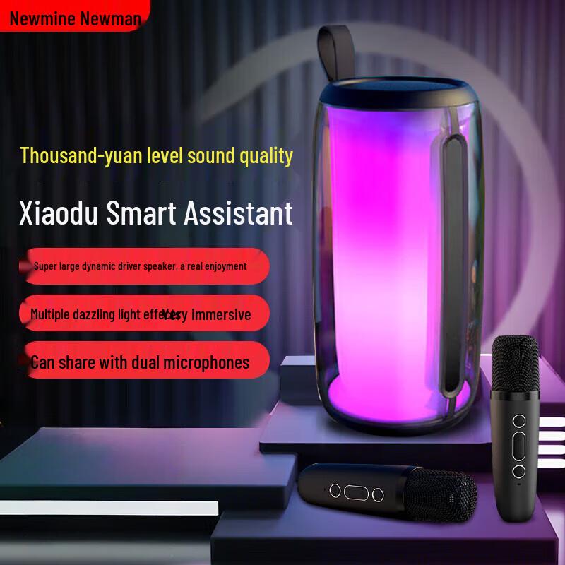 

Newmine M18 Wireless Bluetooth Karaoke Speaker with Dual Microphones