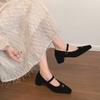 Fashion Temperament Thick Heel Light Mouth Single Shoes Women's Spring and Autumn with Skirt Velvet Mary Jane Shoes