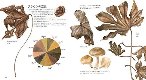 Watercolor Botanical Art