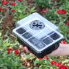 Seed Starter Tray Box Nursery Pot Seedling Germination Planter Adjustable Ventilation Humidity 12 Cell