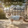 Lightweight Lace Cat Dress Small Dogs Cats Breathable Pet Outfit In Blue Pink XS To XL