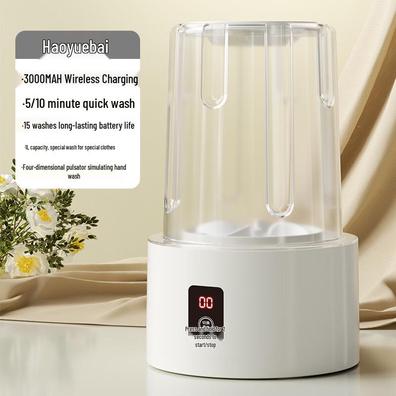 Zhi Shi Portable Mini Underwear & Sock Washing Machine