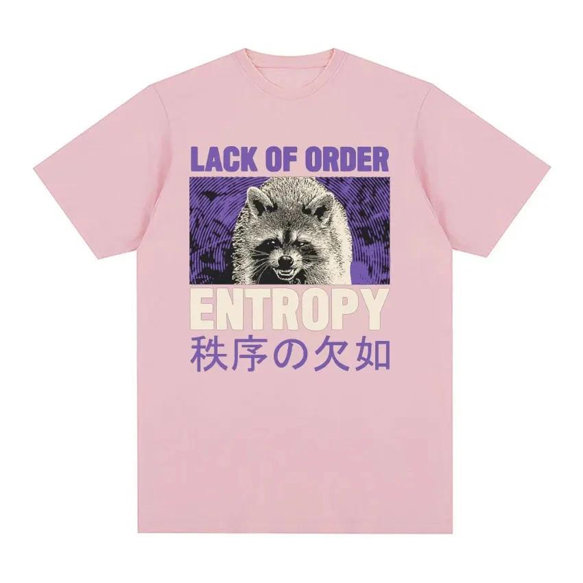 90s Retro Entropy Raccoon Funny Meme Tshirt Lack OF Order Men Women Fashion T-shirt O-Neck Cartoon T Shirt Printed Tees Top