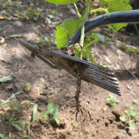 Weed Puller Tool Manganese Steel Uprooting Weeding Tool Garden Weed Remover with Long Handle for Vegetable Planting Weeding