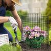 Chicken Wire Plant Cover Metal Protection Guard Garden Netting Plant Covers for Strawberry Tomato Vegetable Flower Crop