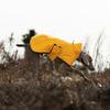 Outdoor Dog Jacket Windproof Waterproof Large Breeds Reflective Adjustable Coat Weimaraner Retriever Winter Warm Pet Clothes