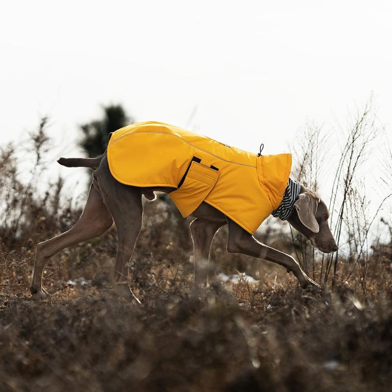 Outdoor Dog Jacket Windproof Waterproof Large Breeds Reflective Adjustable Coat Weimaraner Retriever Winter Warm Pet Clothes