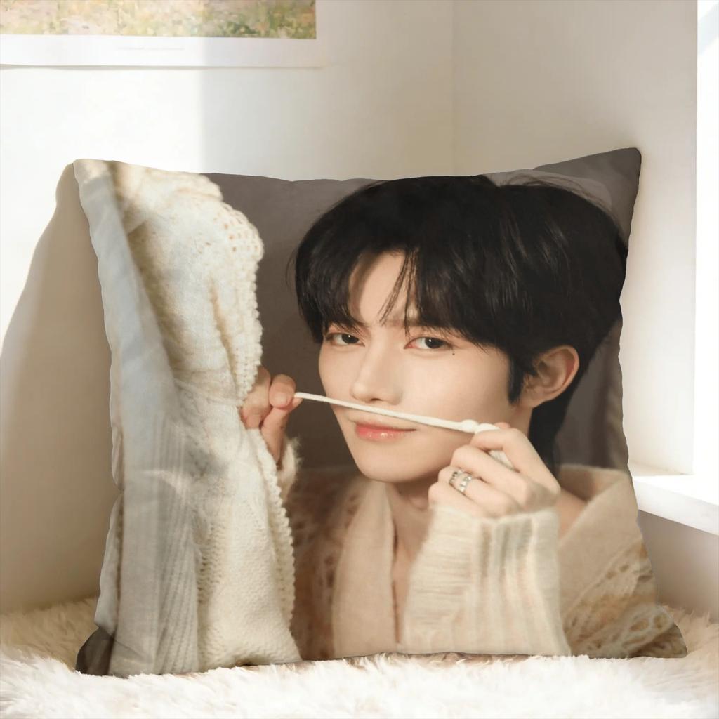 Huang Xing Eliot Huang D-Desire Pillow Case Comfy Pillow Cover For Office Car Home Decor Cute Funny Cushion Cover