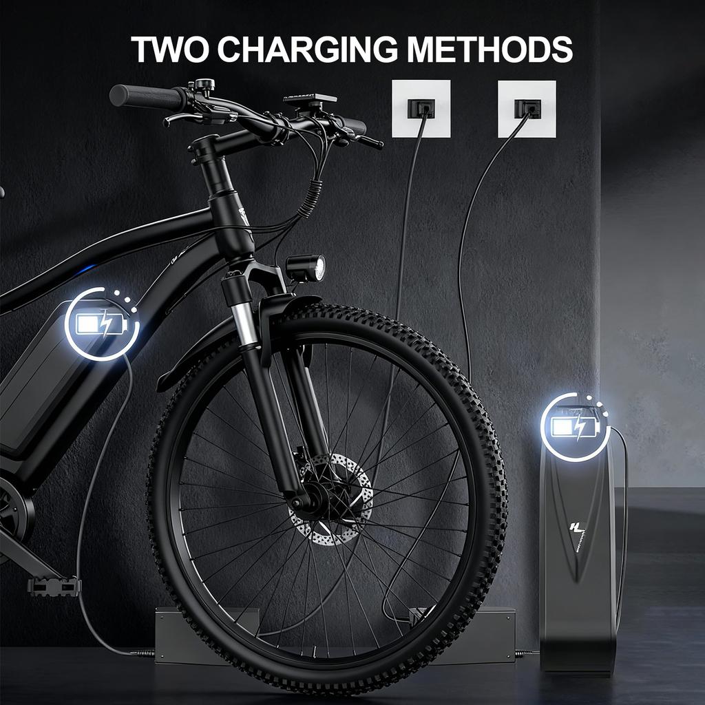 G73 Elektrické kolo pro dospělé, 250W48V13Ah Elektrické kolo pro venkovní jízdy.