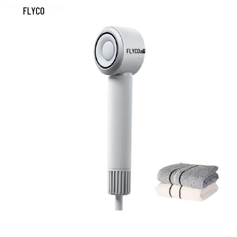 FLYCO FH6371 High-Speed Negative Ion Hair Dryer CN plug (adapter included)