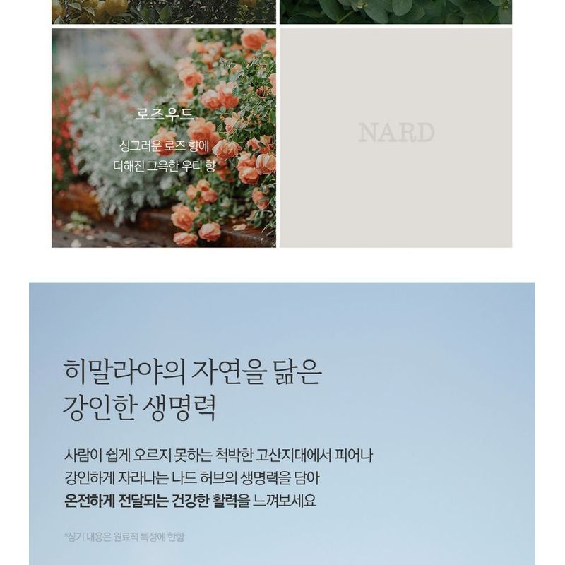 Nard Body Wash - 4 Types