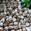 Resin Skull Figurines Set of 40 Mini Skulls Decor for Home and Garden Accent
