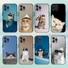 Cool Cat Cute Phone Case For iPhone17,16,15,14,13,12,Plus,Pro Max, 5G Others Soft Black Cover