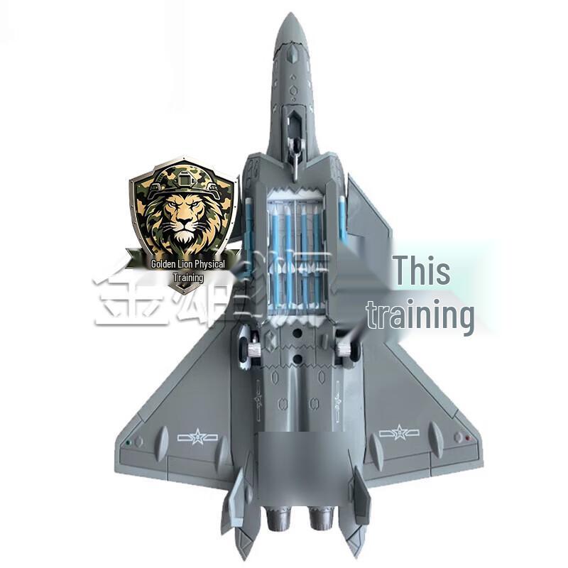 Golden Lion J-20 Fighter Jet Scale Model