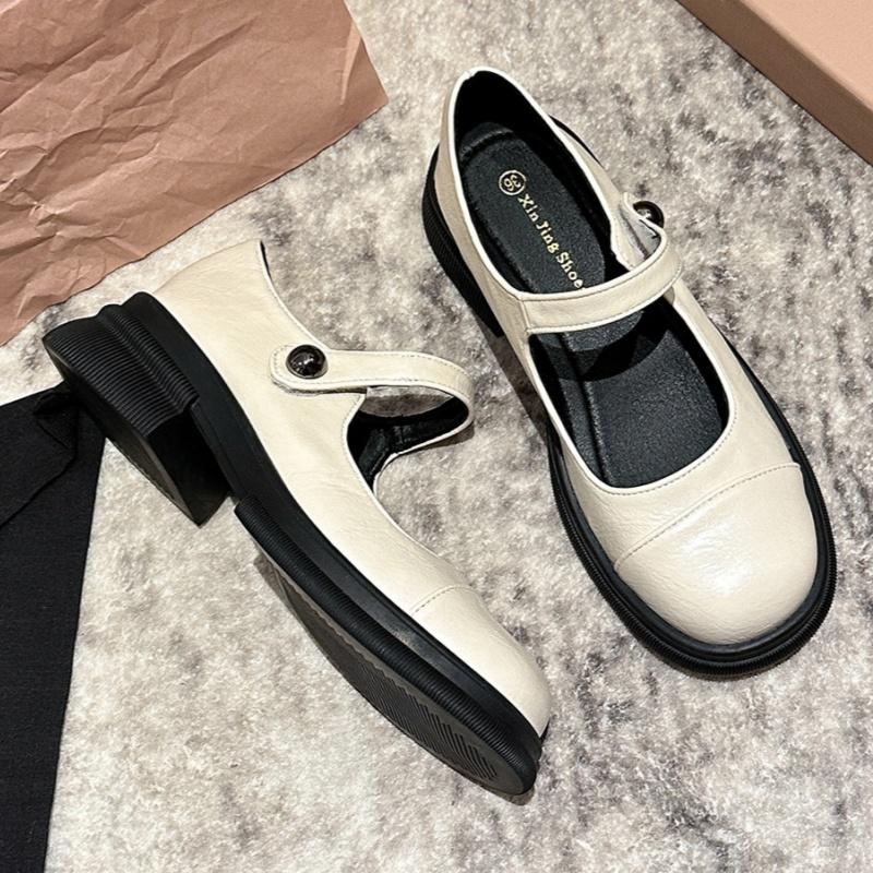 Fashion Spring 2025 Women's Mid Heels Shoes Mary Jane New Style Concise Comfortable Soft Shoes Trend Versatile Women Shoes