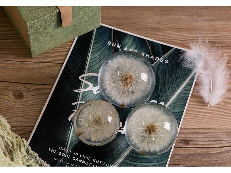 Dandelion & Sunflower Crystal Ball Ornament - High-End Gift for Christmas, Birthday, or Valentine's Day (M2)