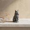 Vitrine Kattenbeeldje 3D Geprint Maine Ornamenten voor Tafeldecoratie