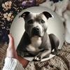 Arte da Parete in Metallo Staffordshire Bull Terrier Vintage Regalo Divertente Arredo Casa Giardino Bar