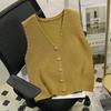 Women's Autumn and Winter Vest Ladies' Woolen Small Vest Layering Sweater Outer Wear Knitted Vest for Women Winter Outer Wear