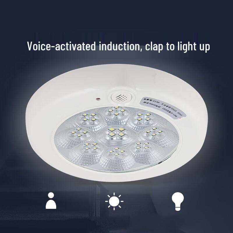 Nu Feng LED Sound and Light Sensor Ceiling Light