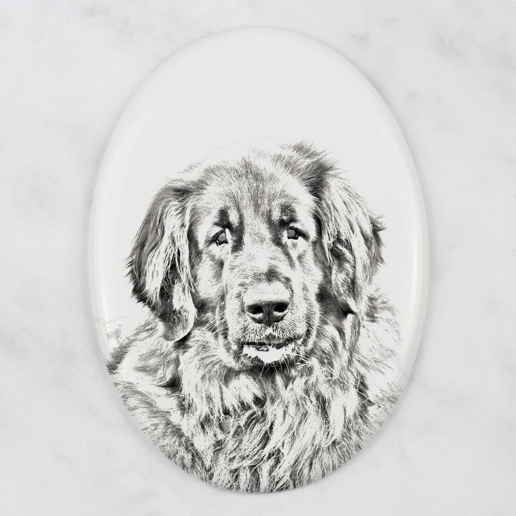 Leonberger - commemorative plaque with a photo of a dog, tombstone with a print, personalized oval plaque from the Art-Dog brand