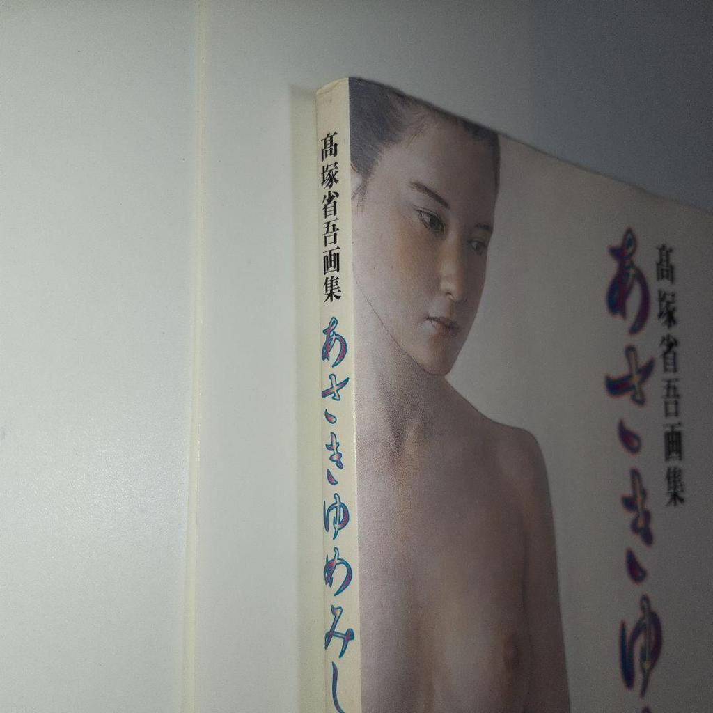 [USED] Shogo Takatsuka Art Book “Asaki Yumemishi” Art Book & 2003 Calendar “White Wind”