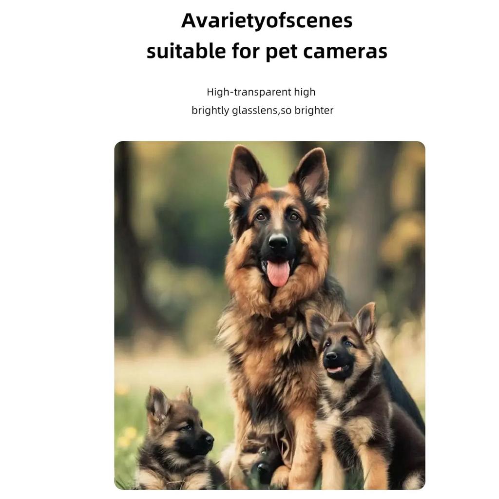 Mini Keychain Camera, 1080P Small Digital Camera Point and Shoot Digital Camera, Portable Retro CCD Thumb Camera for Video Recording and Photography,