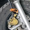Morsetti Protezione Tubo Olio Linea Freno per Moto Cavi Moto Morsetti Fissaggio Tubo Cavo Freno Adattamento