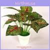 Caladium Bicolor Simulated Artificial Green Plant Potted Decoration Indoor