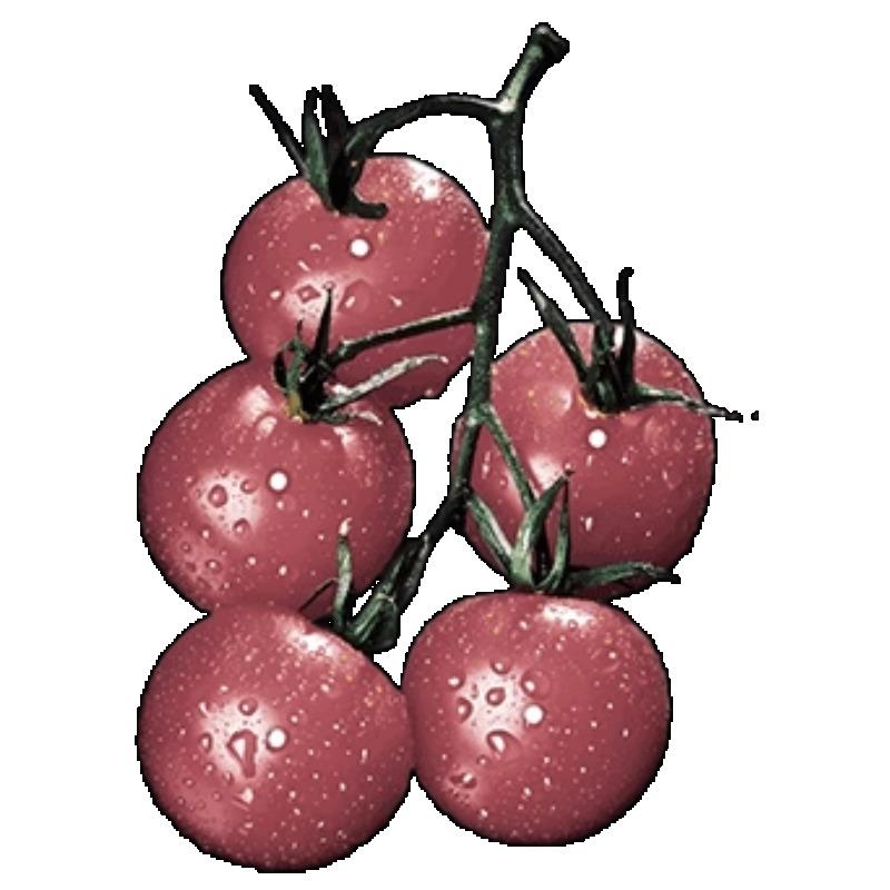 Oversized T Shirt Black Cherry Print Casual Wear for Women Summer Outfit Fashion Statement Loose Fit Top Streetwear Style