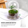 YARNOW Terrarium Container, Glass Micro Landscape Bottle, 6.7" x 4.7", Clear Display Dome for Indoor Use, DIY Decor
