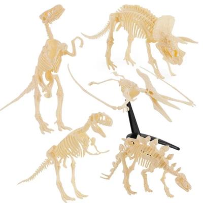 3D Dinosaur Skeleton Puzzle [DIY Assembly] Realistic Bones+Eco-Friendly, STEM Learning/Family Bonding