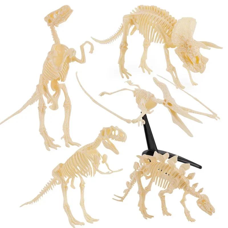Discover Intime 3D Dinosaur Skeleton Puzzle [Diy Assembly] Realistic Bones+Eco-Friendly, Stem Learning/Family Bonding
