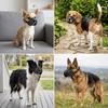 Waterproof Dog Muzzle Adjustable Dog Anti Bite Muzzle Safe Wearing Dog Bark Stopper  Daily Walking