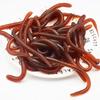 Red Worm Lure Lifelike Silica Gel Fishy Artificial Red Worm Earthworm Bait Submerge Simulation Lure Pesca Prank Earthworm Toy
