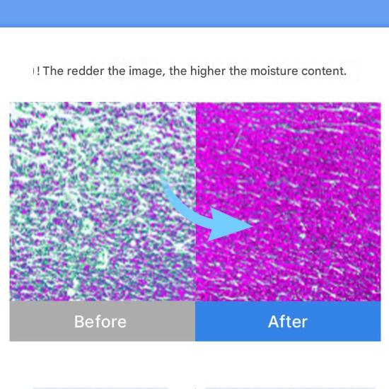 Cell Fusion C Post Alpha First Cooling Mask 27 ml  (4 Options)