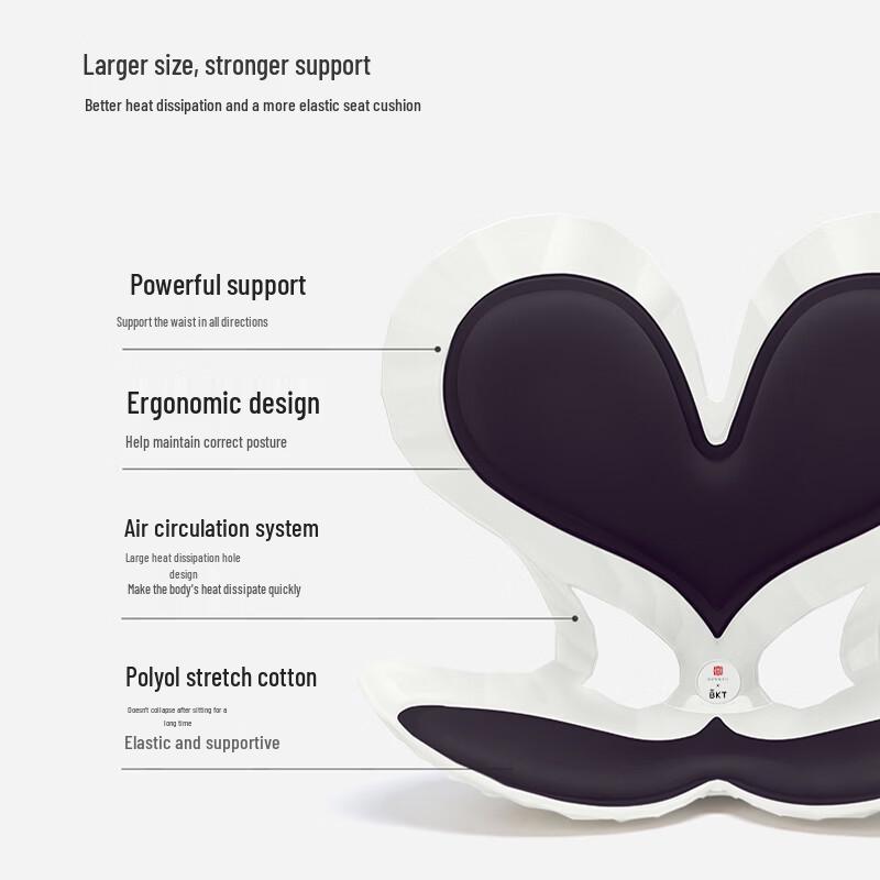 BKT Ergonomic Lumbar Support Chair Cushion