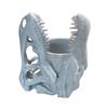 Dinosaur Skull Pen Holder Plastic Pencil Case Desktop Organizer for Pens Erasers Markers School Office Supplies