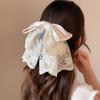 Retro Ponytail Hair Clip Embroidered Mesh Headwear Fashion Bow Hair Claws  Hair Accessories