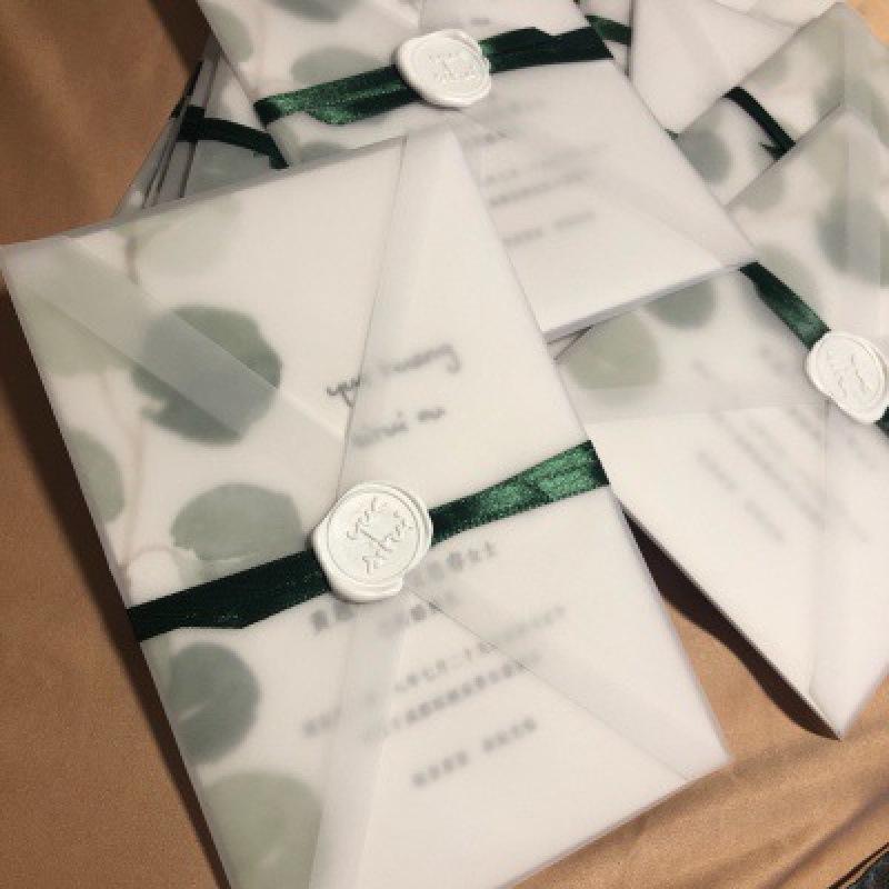 Translucent Vellum Envelopes for DIY Invitations with Wax Seal Option, Blank & Creative, Includes Coupons