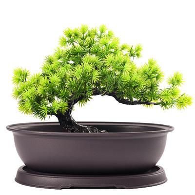 Blumentöpfe Kunststoff Imitation Lila Ton Sukkulenten Töpfe Gartenlandschaft Bonsai Topf Untersetzer Rechteckig Quadratisch Pflanzgefäß