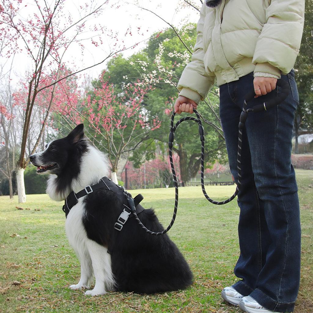 Plutus Haustierseil Hundeleine 1,8 m lang, Verkehrspolsterung Zwei Griffe, Strapazierfähig, Reflektierende Doppelte Griffe für Kontrolle Sicherheitstraining